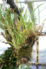 Killikus&reg; Fotographie